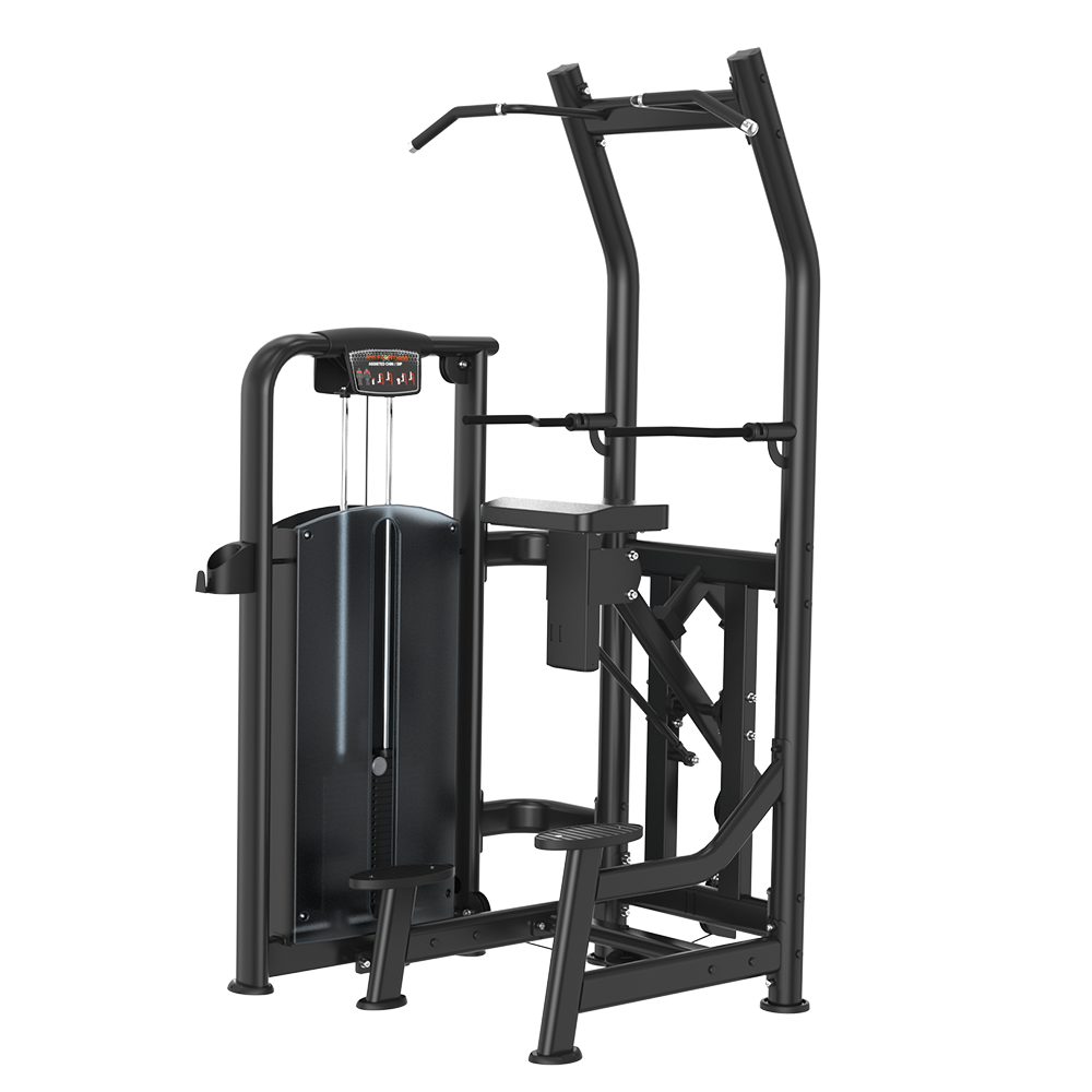 M4-08 ASSISTED CHIN/DIP