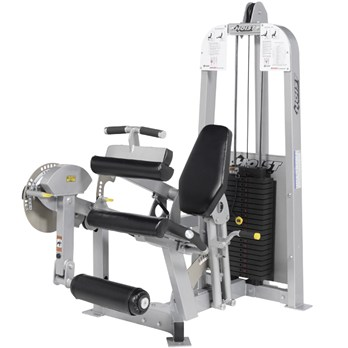 Seated Leg Extension/Curl