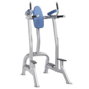 Vertical Knee Raise/Dip